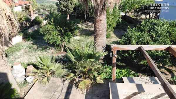 εικόνα_Viber_2026-07-18_10-57-37-936.jpg